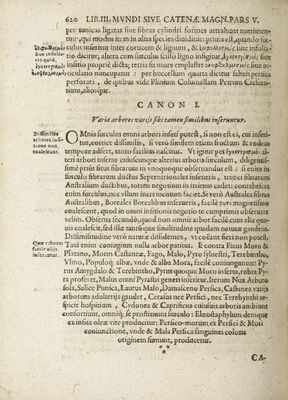 De Magnetica [...] Plantarum  p. 620